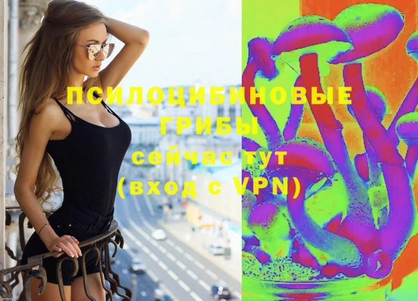 марки lsd Вяземский