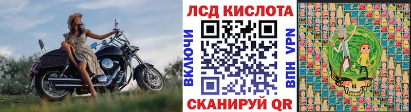 дарнет шоп  omg вход  Наркотические марки 1500мкг  Злынка 