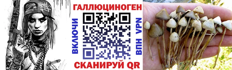 Псилоцибиновые грибы GOLDEN TEACHER Злынка